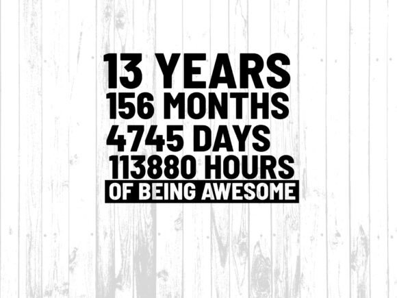 13th Birthday T-Shirt Graphics & Illustrations